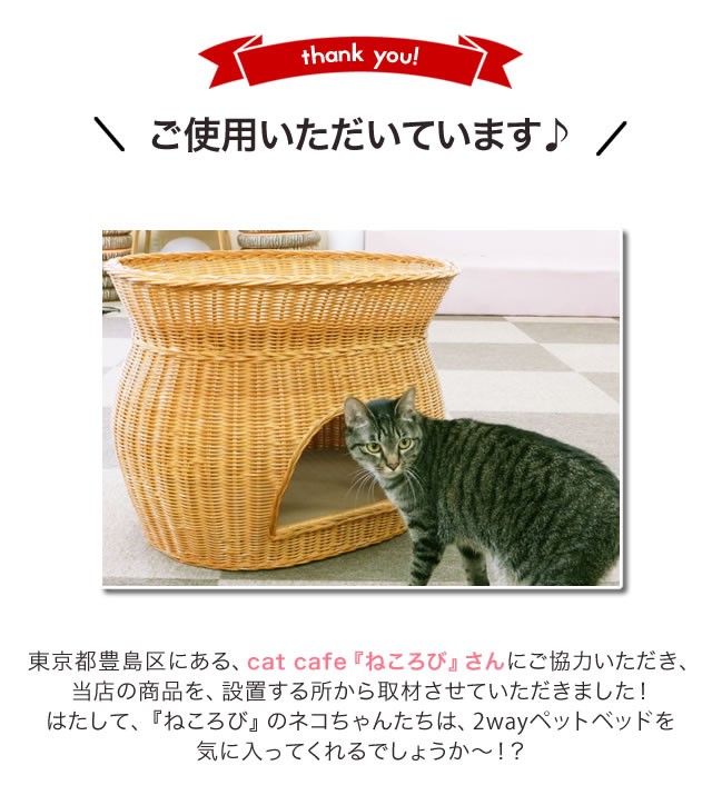 天然籐ネコちゃんハウス 2段ベッドタイプ 猫ベッド キャットハウス 猫 