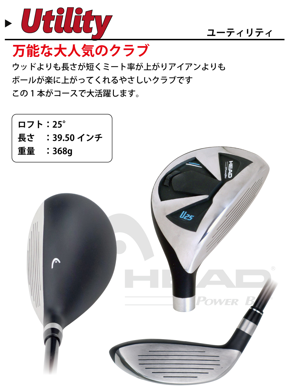 HEAD by Powerbilt メンズクラブセット 右用 クラブ9本 スタンド式