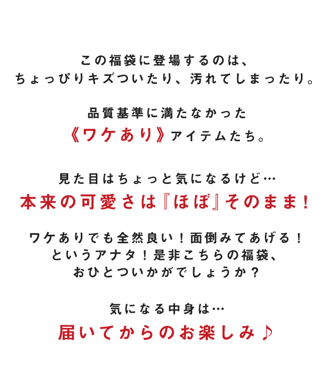 10/30 10時〜販売決定！ HAPPY BAG 福袋！何が届くかお楽しみ！ パンプス サンダル カジュアル ミュール 送料無料  【試着チケット対象外】 :happybag:welleg from アウトレットシューズ - 通販 - Yahoo!ショッピング