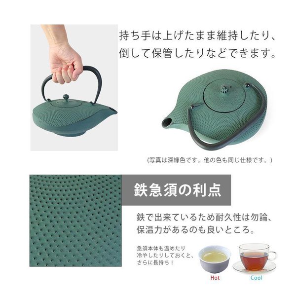 奥州 南部鉄器 急須 南部形かわせみ 6色 1.0L ホーロー加工あり 茶こし