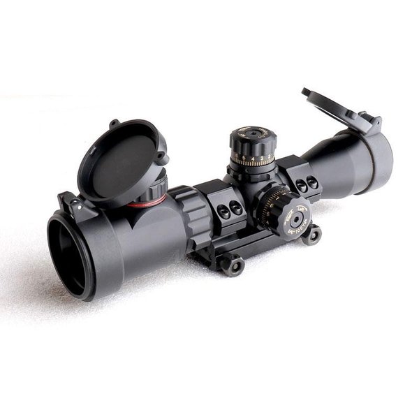 sc-013_1.jpg