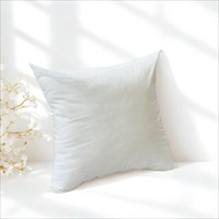 金鵄（きんし） ヌードクッション クッション中身 大きい 60×60 日本製