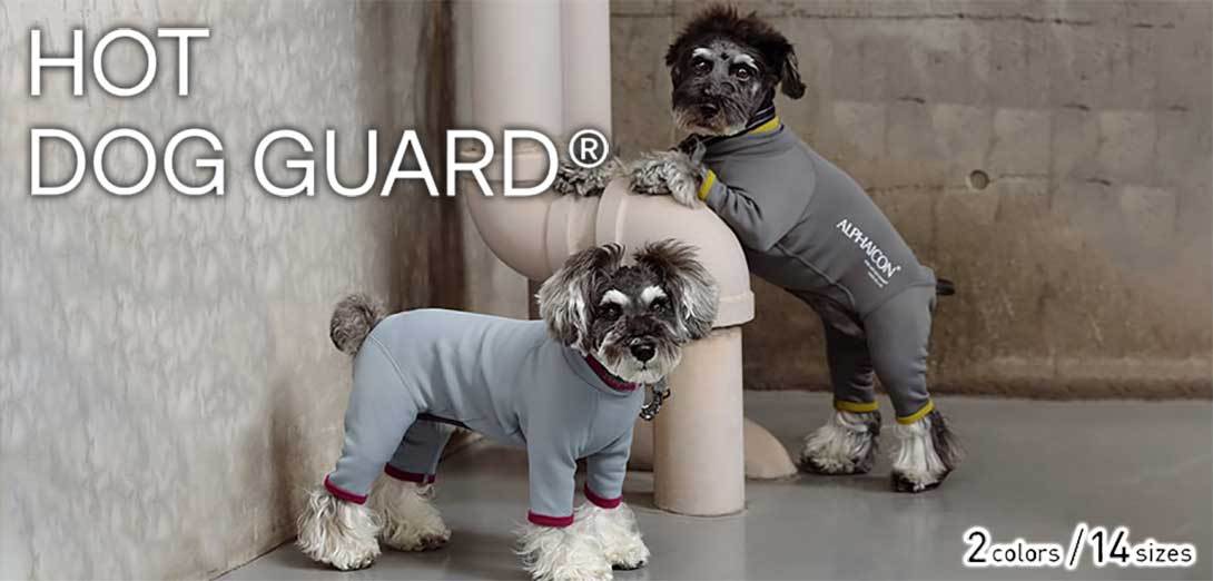 ALPHAICON 2022年モデル 4Lサイズ アルファアイコン Guard Dog Cool 