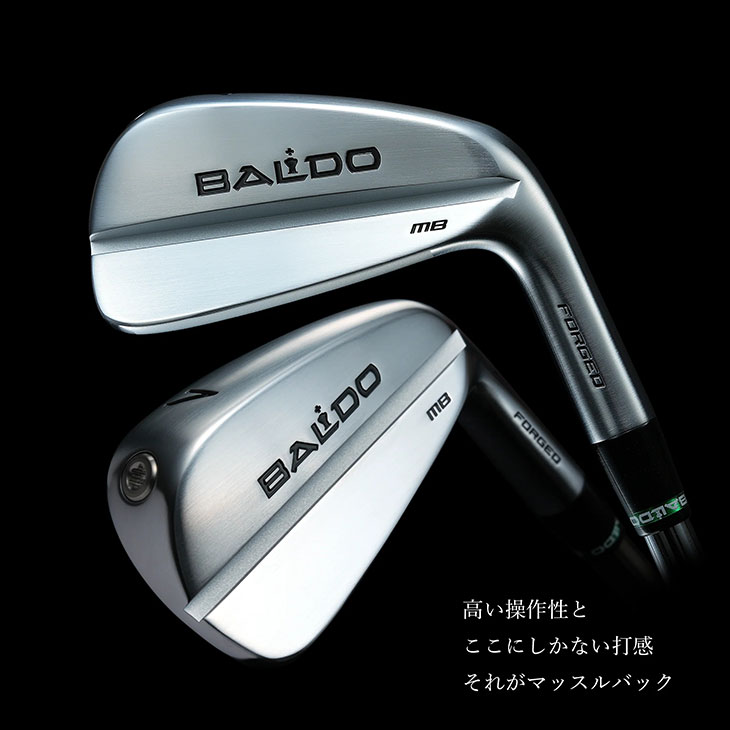 BALDO（バルド） BALDO FORGED MUSCLE BACK IRON LIMITED アイアン6本