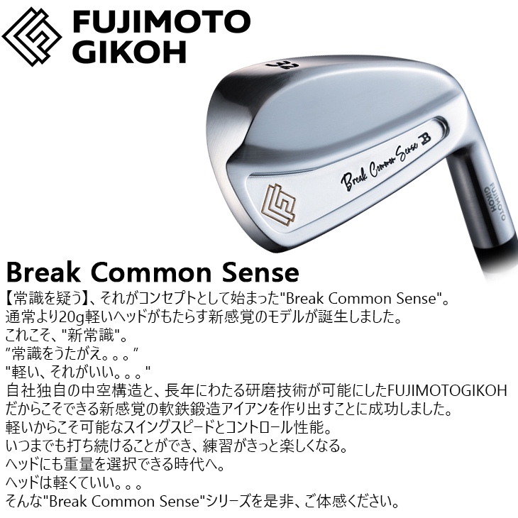 藤本技工　Break Common Sense 海外モデルP〜5 レア　アイアン 藤本技工 BREAK COMMON SENSE IRON アイアン5本set(28度6I-45度PW)[6P