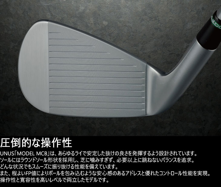 BALDO（バルド） BALDO UNUS MODEL MCB フォージドアイアン5本set(6I