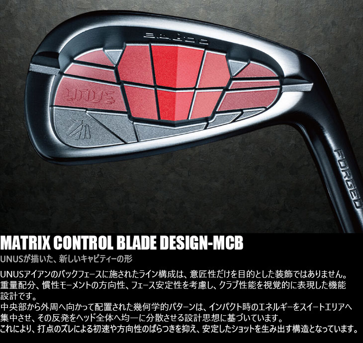 BALDO（バルド） BALDO UNUS MODEL MCB フォージドアイアン5本set(6I