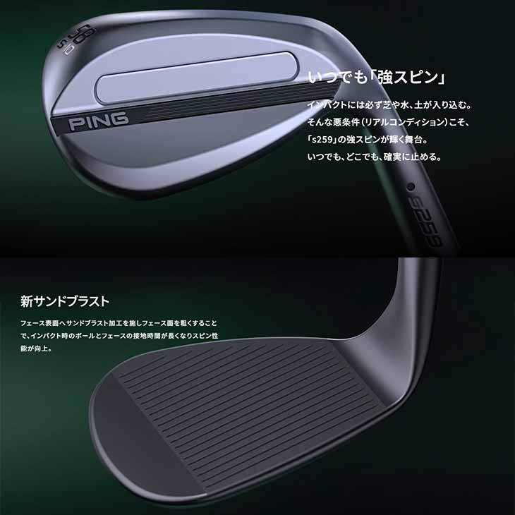 PING S259 ウェッジ 54度 58度 2本セット PING（ピン） s259 ウェッジ Eグラインド EYE2ソール N.S.PRO 850GH