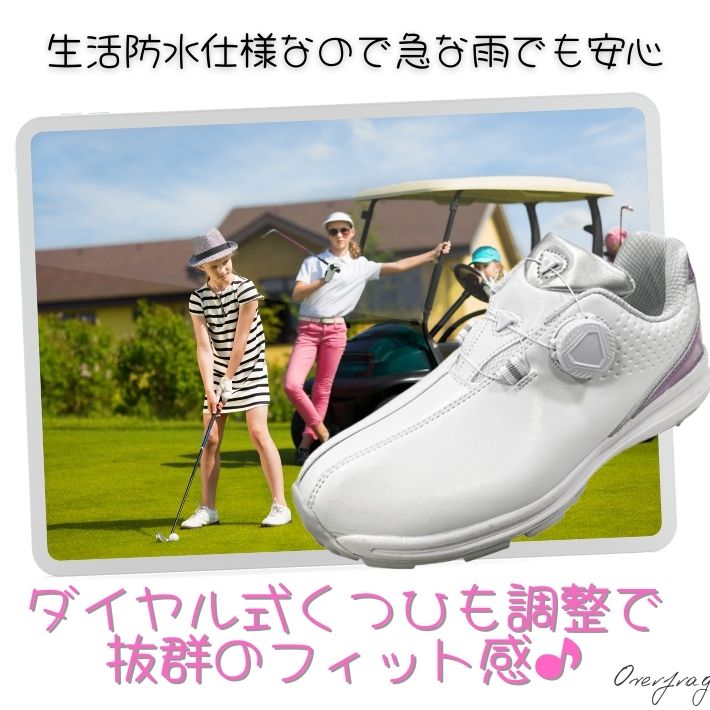 imgrc0086320636.jpg
