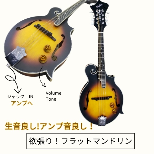 Epiphone　フラットマンドリン　Flatiron Festival F2 Gigson/Epiphone Flatiron Festival F-2 Mandolin w/Case