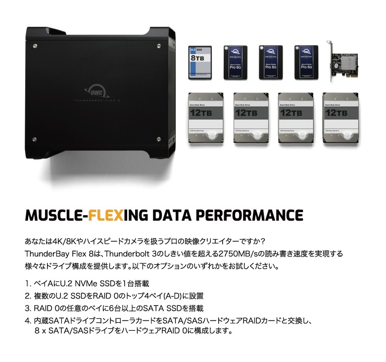データ Thunderbay 4tb U 2 Ssd 14tb Hdd 7 2tb Owc公式ストア