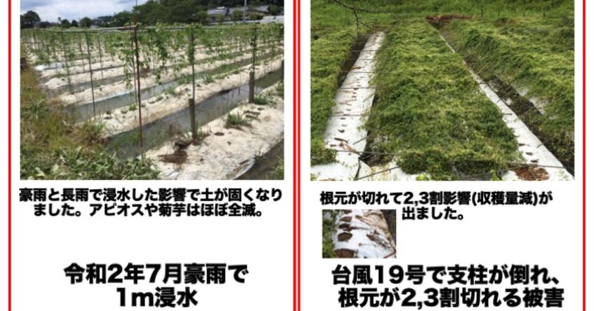 はちみつ はちみつ 球磨(くま)産の濃厚くりーみー 地蜂蜜 1kg X 3 産地