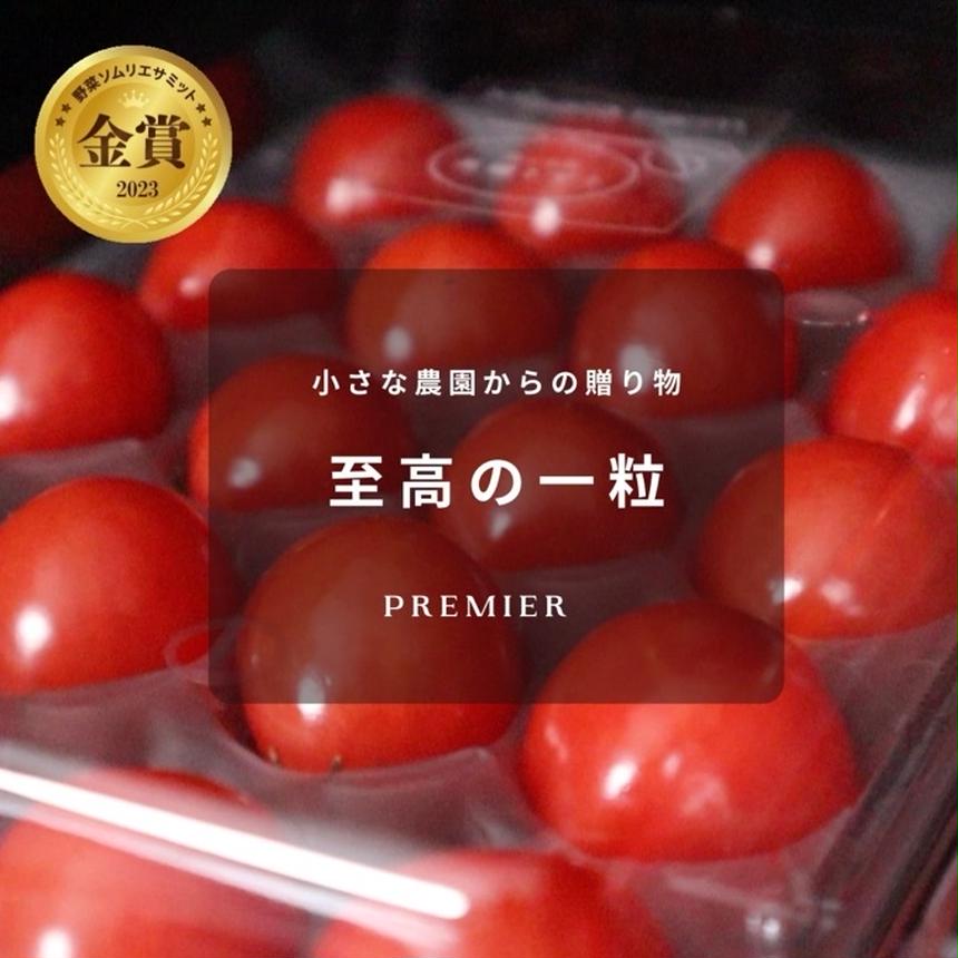 販売期間2024/12/15まで 野菜 トマト 【2年連続金賞受賞園