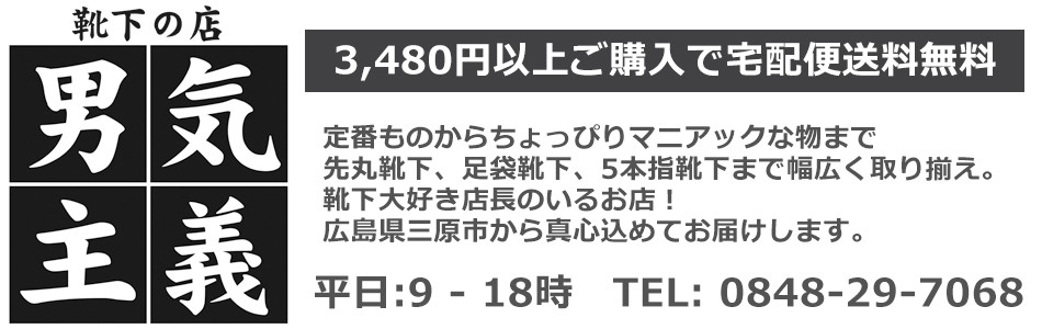 靴下 メンズ ビジネスソックス 強力消臭roicaを使用した靴下 5足セット 23 新版 29cm