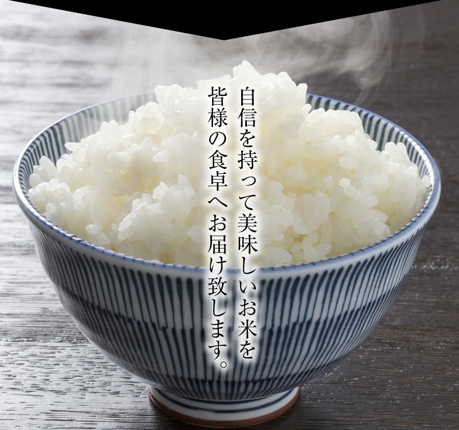 新米 米 10kg 玄米 令和5年 千葉県産 ふさおとめ お米 白米 精米 無料 