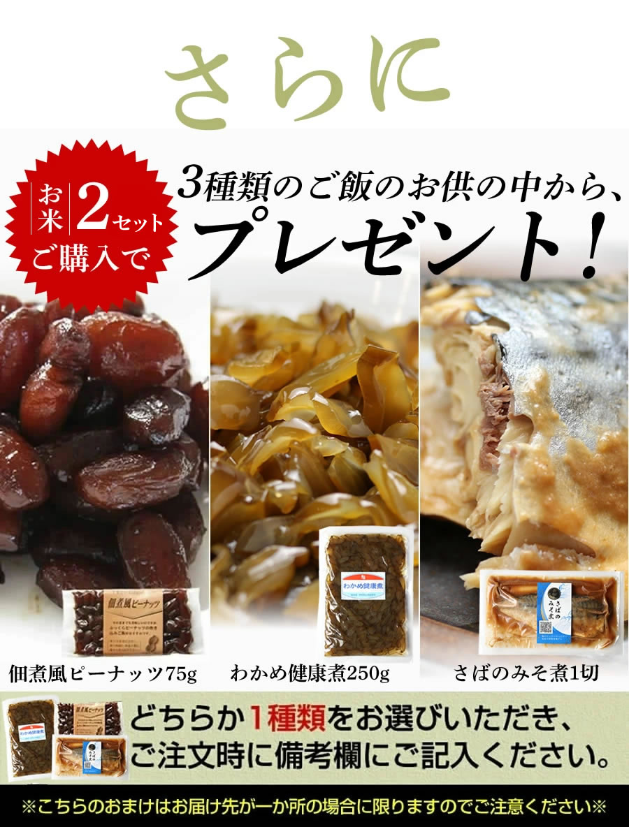 8月中のみ出品。新米！令和5年産 千葉県産 粒すけ 玄米30キロ - 食品