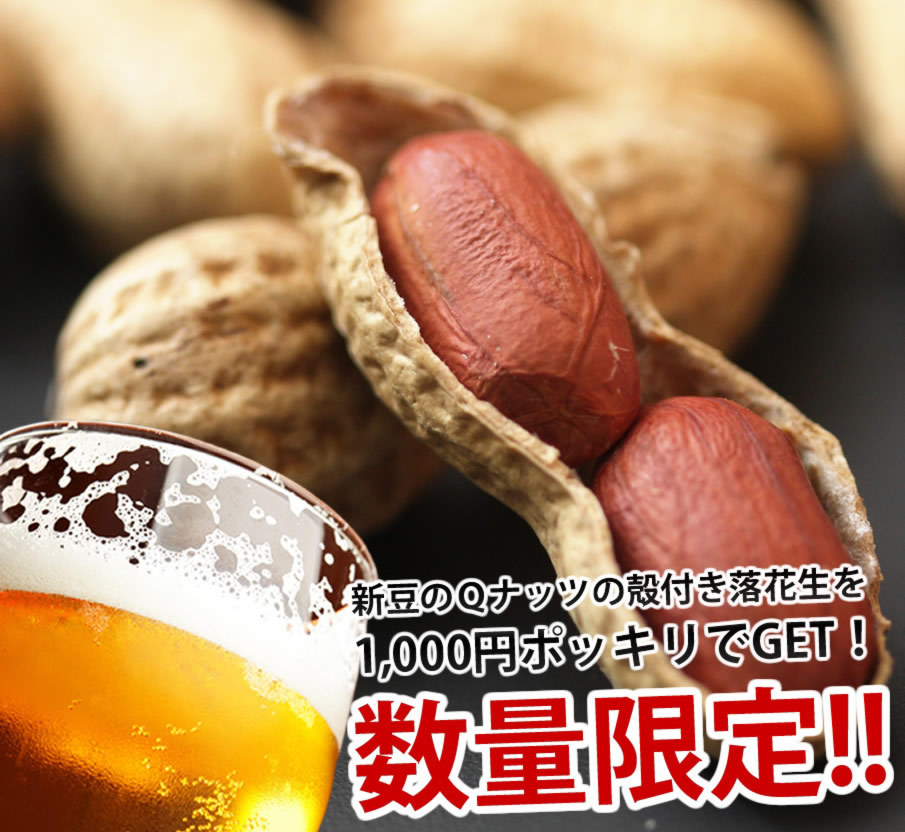 2023年産 送料無料 千葉県産 殻付き 落花生 200g（100g×2） お試し品