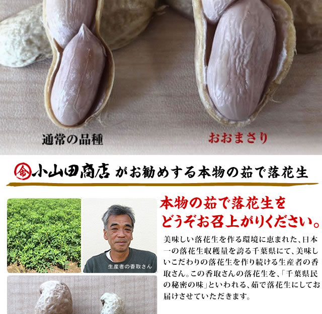 千葉県産 おおまさり ゆで落花生 900g 茹で落花生 落花生 らっかせい