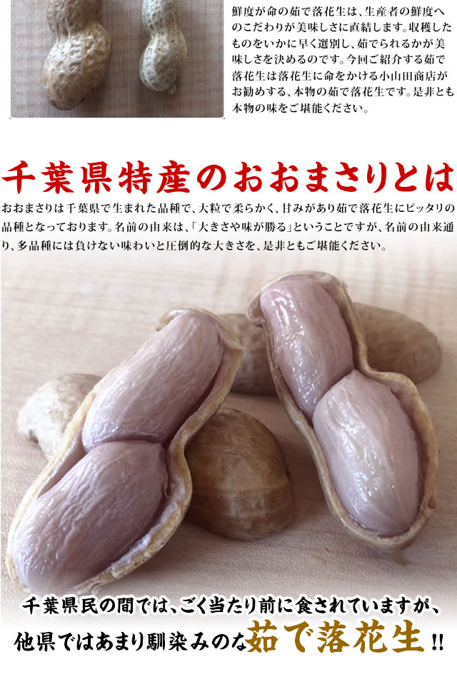千葉県産 おおまさり ゆで落花生 900g 茹で落花生 落花生 らっかせい