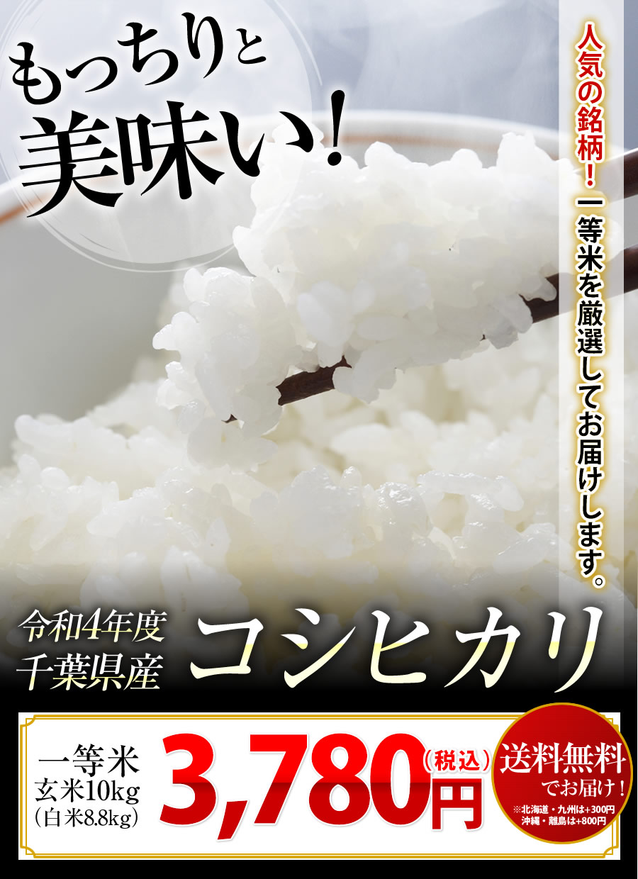 ☆決算特価商品☆ 新米ミルキークイーン 酵素米 お米 玄米１０ｋｇ 標準白米に精米