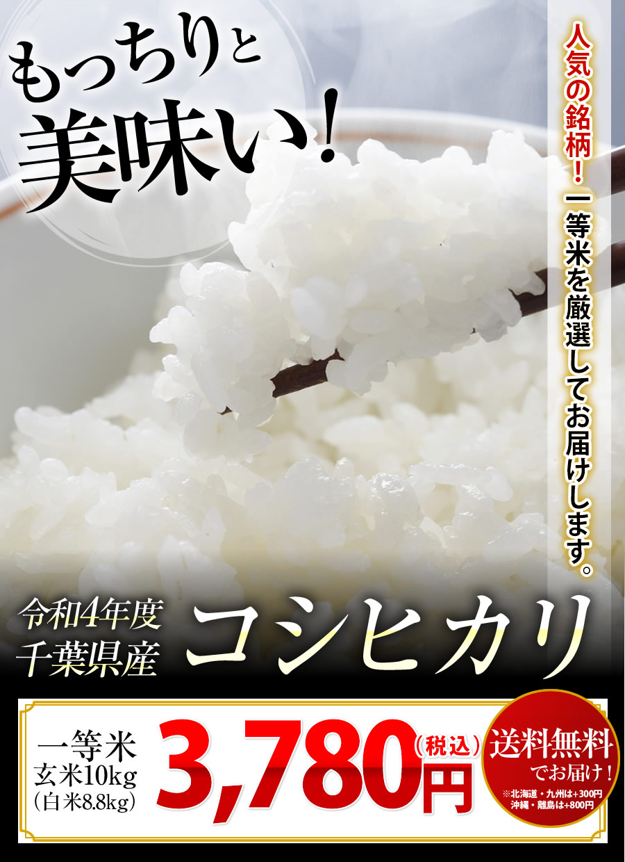 令和4年産 千葉県産コシヒカリ100%(玄米10キロ) - 米