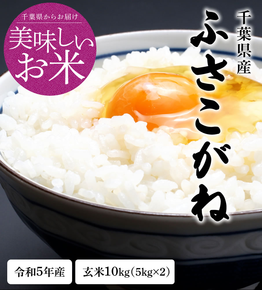 米 玄米 10kg 令和5年 千葉県産 ふさこがね お米 こめ 千葉産 白米 