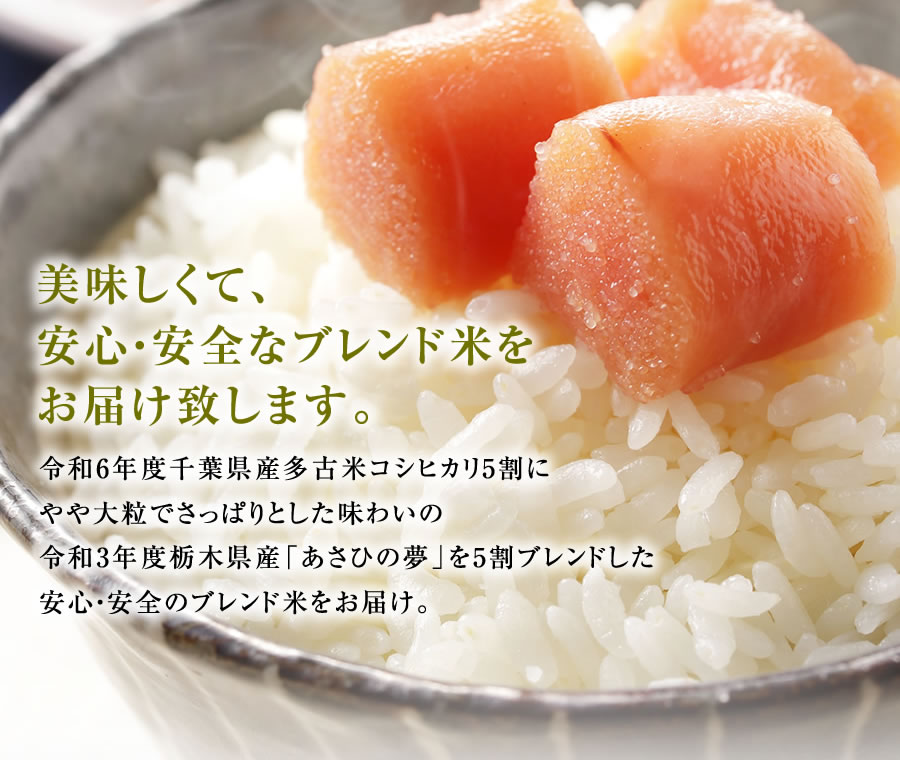古米　山形県産有機米　ブレンド米5キロ×2袋 IRIS OHYAMA 令和6年産 米 20kg 送料無料 千葉県産 こしひかり