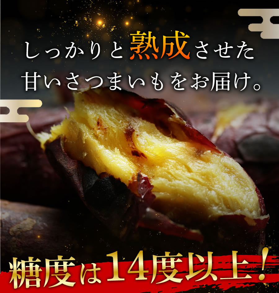 【期間限定10%OFF】訳あり さつまいも 紅はるか 5kg S・M・L混合