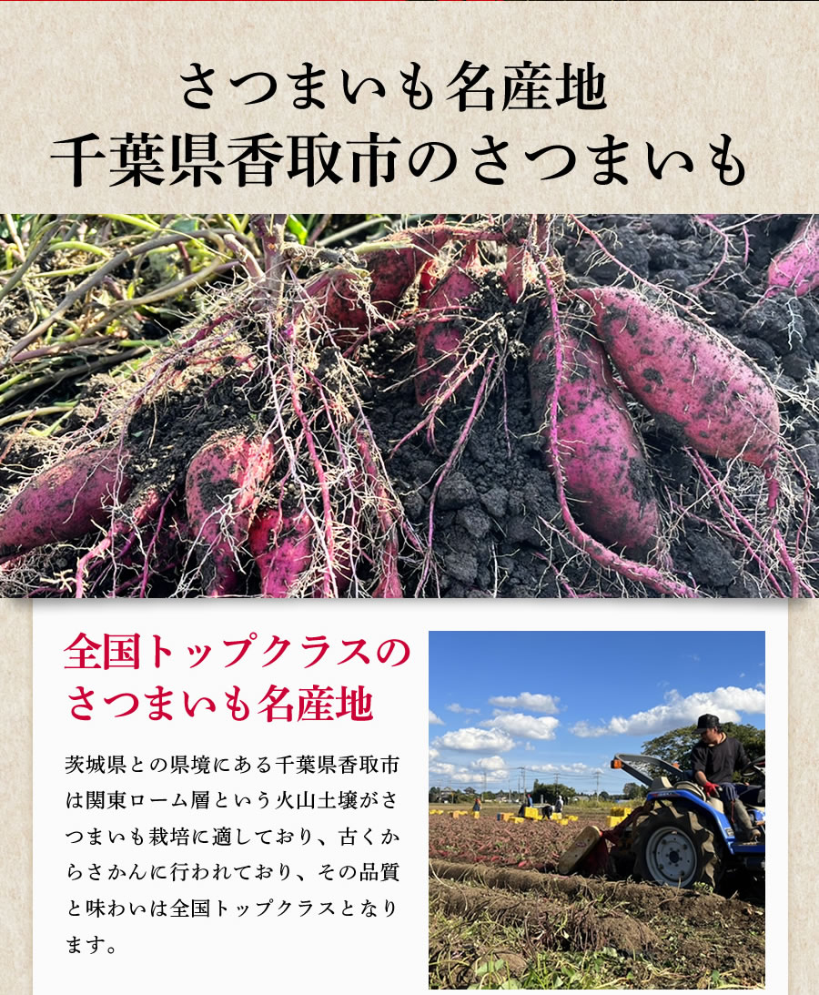 期間限定10%OFF】訳あり さつまいも 紅はるか 5kg S・M・L混合 送料