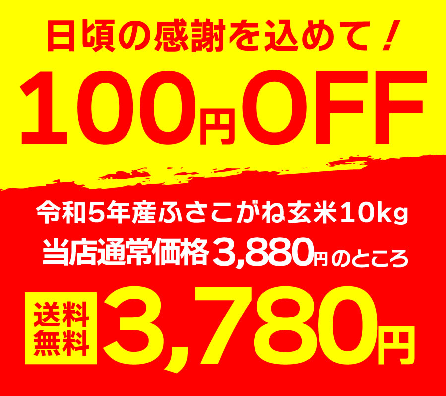 ふさおとめ 米 玄米 10kg（5kg×2） 令和6年 新米 千葉県産