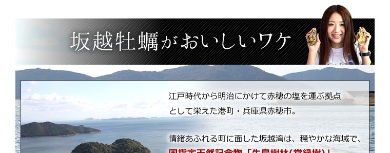 坂越かき 冷凍むき身500g×4 (加熱用) 大粒新鮮冷凍デカプリオイスタ