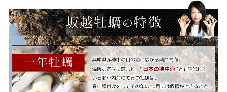 坂越かき 冷凍むき身500g×4 (加熱用) 大粒新鮮冷凍デカプリオイスタ