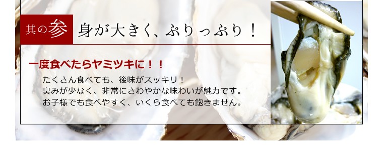 坂越かき 冷凍むき身500g×4 (加熱用) 大粒新鮮冷凍デカプリオイスタ