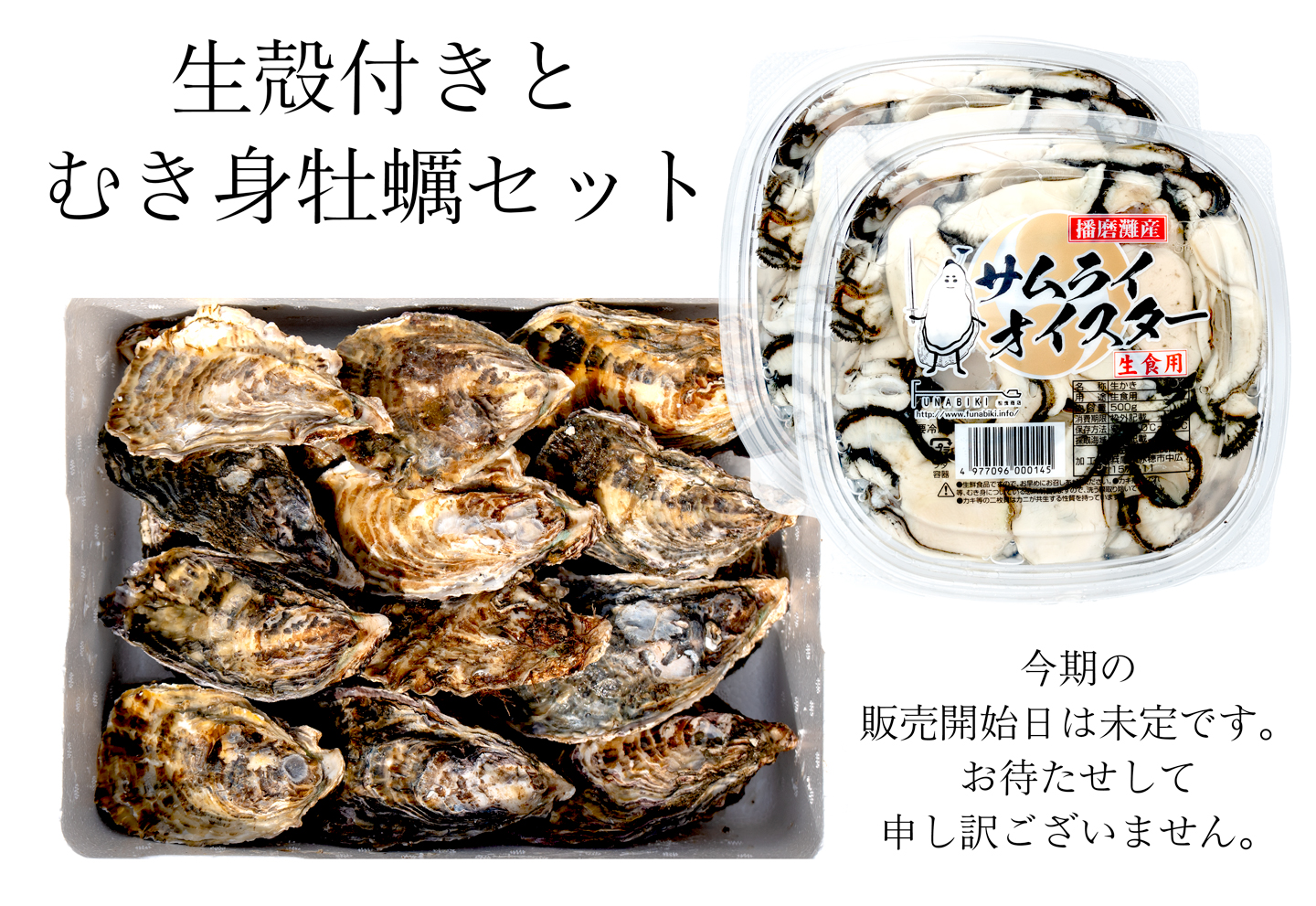 Oyster Sisters - Yahoo!ショッピング