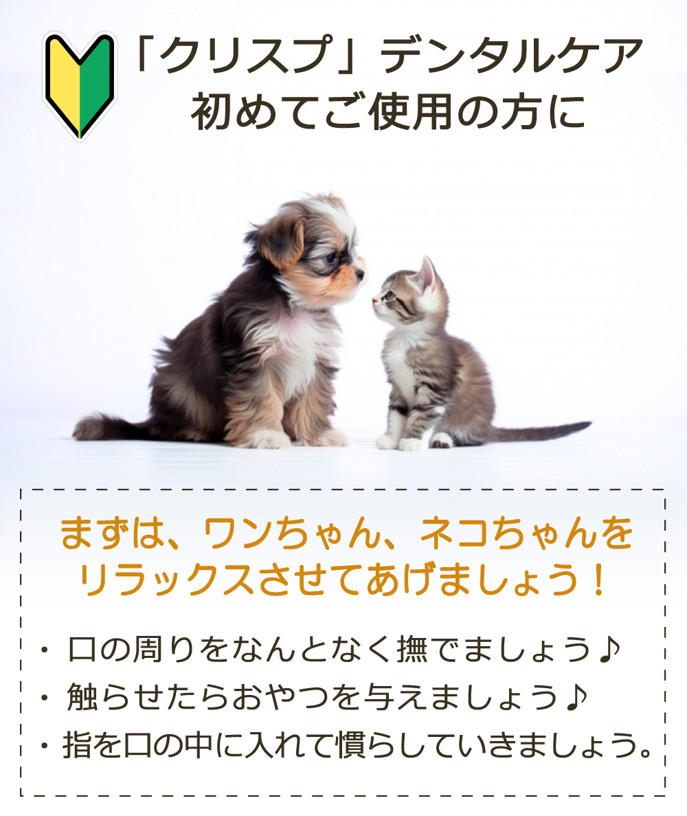 クリスプデンタルケア　デンタルケア