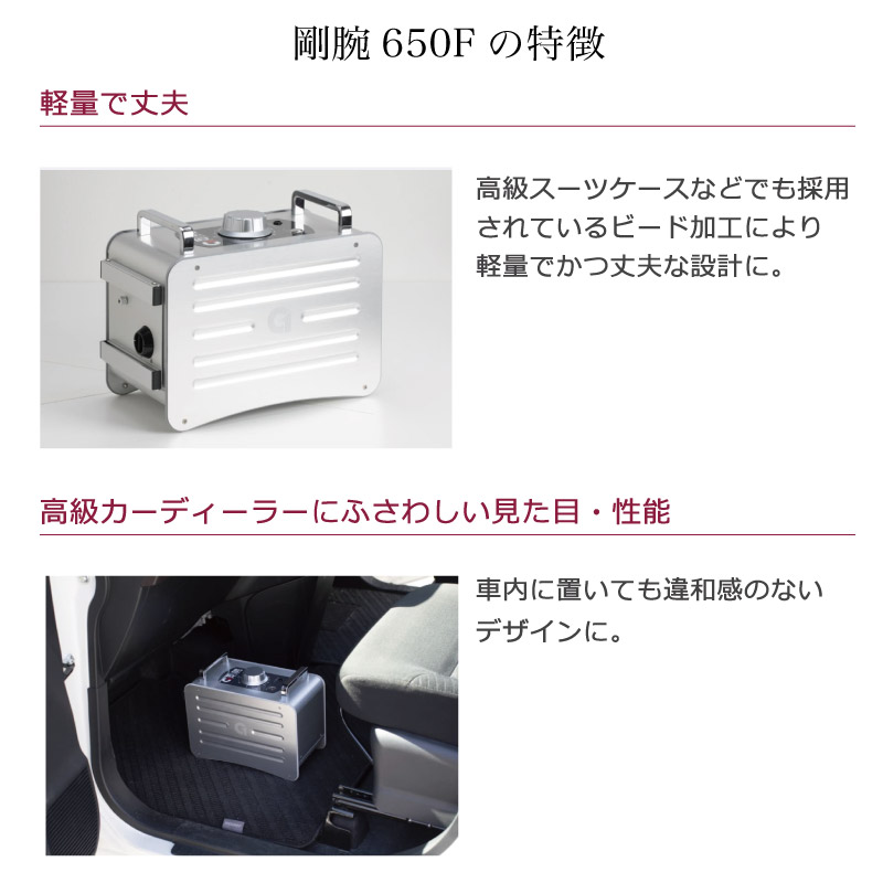 【オゾン脱臭機】 オゾン脱臭器 剛腕650F GWN-650F 車両向け業務用オゾン消臭器 業務用オゾン発生装置【剛腕650F】