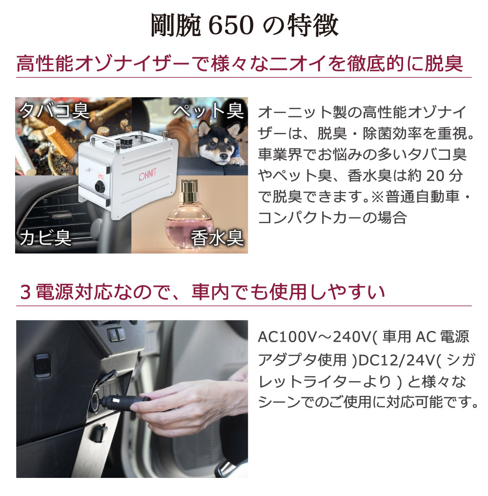 【オゾン脱臭機】 オゾン脱臭器 剛腕650F2 GWN-650F2 車両向け業務用オゾン消臭器 業務用オゾン発生装置【剛腕650F2】