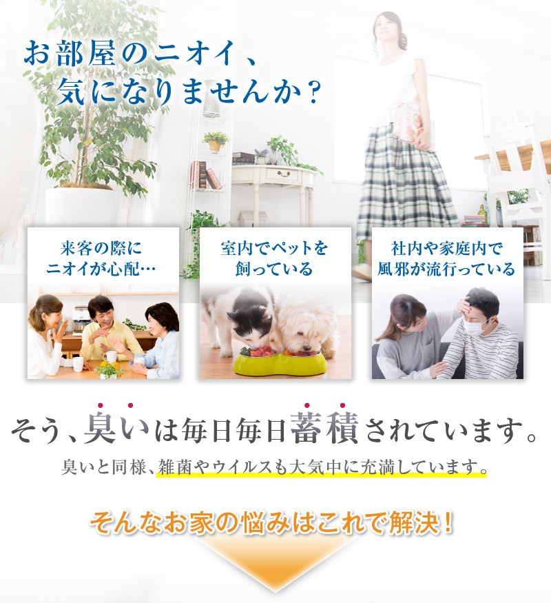 オゾンリフレッシュplus オゾン発生器の家庭用版 : オゾン発生器