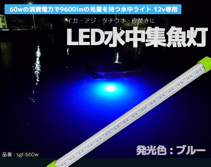 LED 水中集魚灯 水中ライト 水中集魚ライト 青 ブルー 12V 60w 9600lm イカ アジ タチウオ イワシ 仕掛け 夜焚き :  sgl-b60w : BANG - 通販 - Yahoo!ショッピング