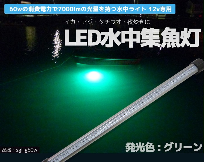 LED水中集魚灯 12v 60w 水中ライト グリーン 7000lm 集魚ライト イカ アジ タチウオ イワシ 仕掛け 夜焚き 海 レジャー  アウトドア : sgl-g60w : PandD - 通販 - Yahoo!ショッピング