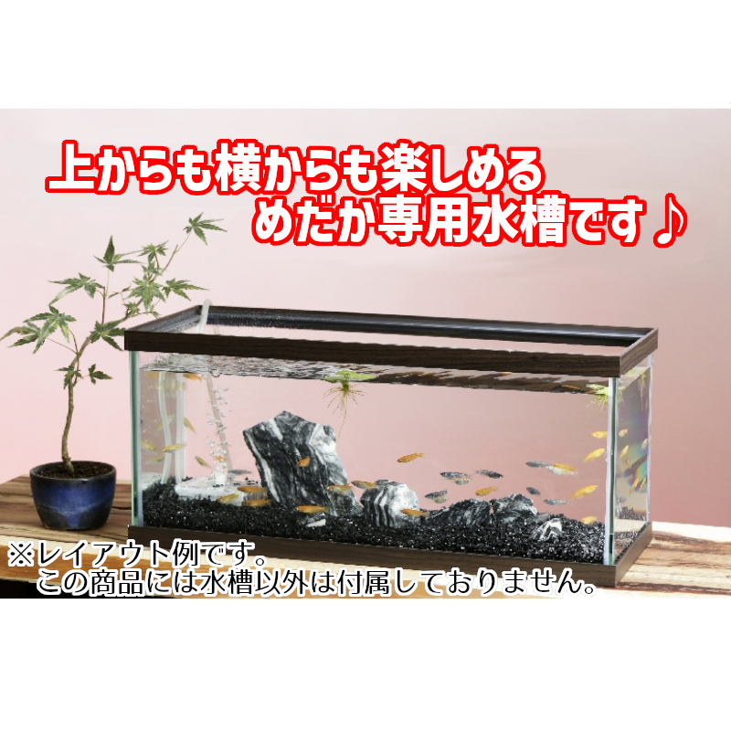 90cm水槽スーパークリア アクロ90S（90×45×45cm）フタ無し