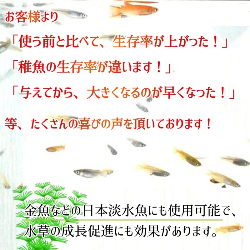 送料無料 特濃psb 光合成細菌 4000ml メダカの餌 稚魚のエサ 送料無料 活餌 金魚 ゾウリムシ ミジンコ Psb ワムシ インフ 光合成細菌psb40l用培基液400ml 関連 めだか金魚ミジンコクロレラp Chateaujoliet Com