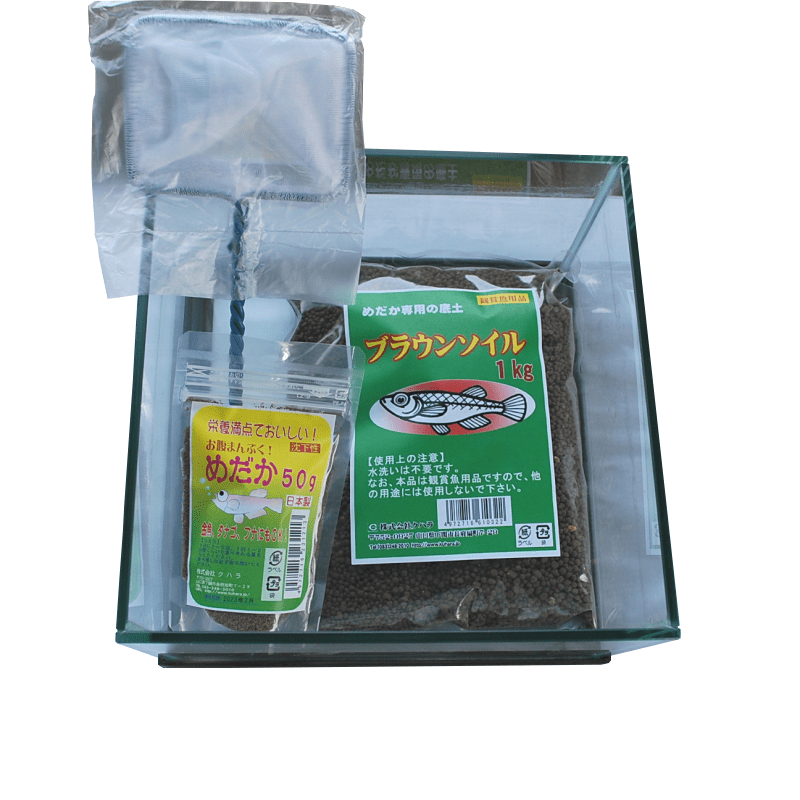 人気ブランド メダカ めだか飼育用底土 ろ過ソイル ブラウン 1kg Shipsctc Org 人気ブランド メダカ めだか飼育用底土 ろ過ソイル ブラウン 1kg Shipsctc Org