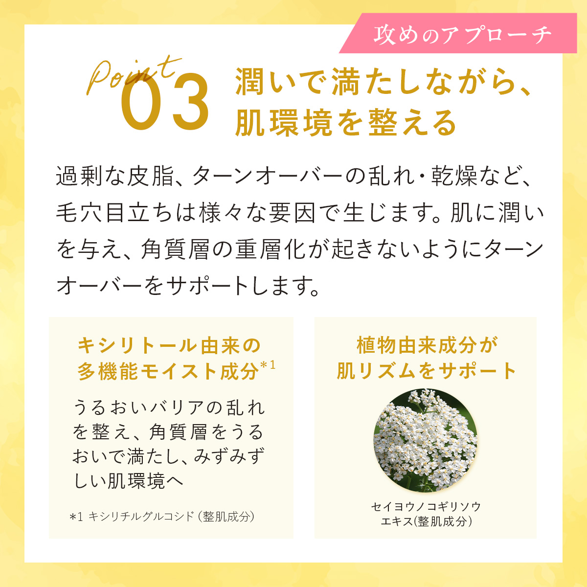 CANADEL 【公式】【毛穴目立ち徹底ケア*1】 プレミアバランサー