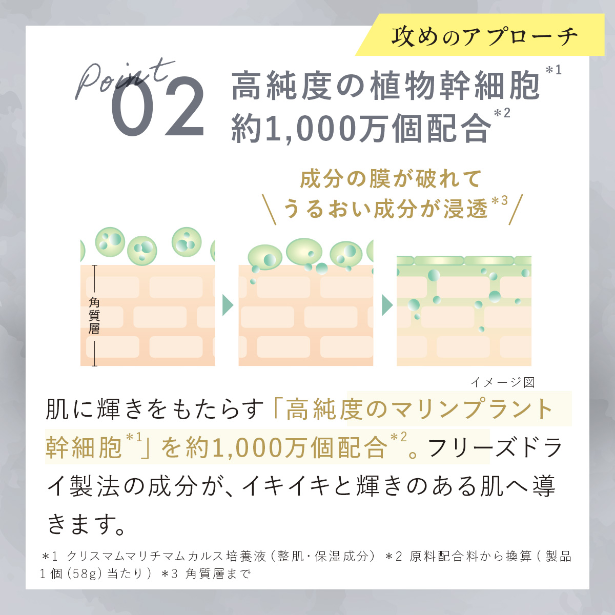 公式】【カナデル最高峰のプレミア処方】 CANADEL プレミアゼロ オールインワン 58g 美容液 ハリ 弾力 美肌 乾燥 透明感 カナデル :  canadel-premierzero : プレミアアンチエイジング公式 - 通販 - Yahoo!ショッピング