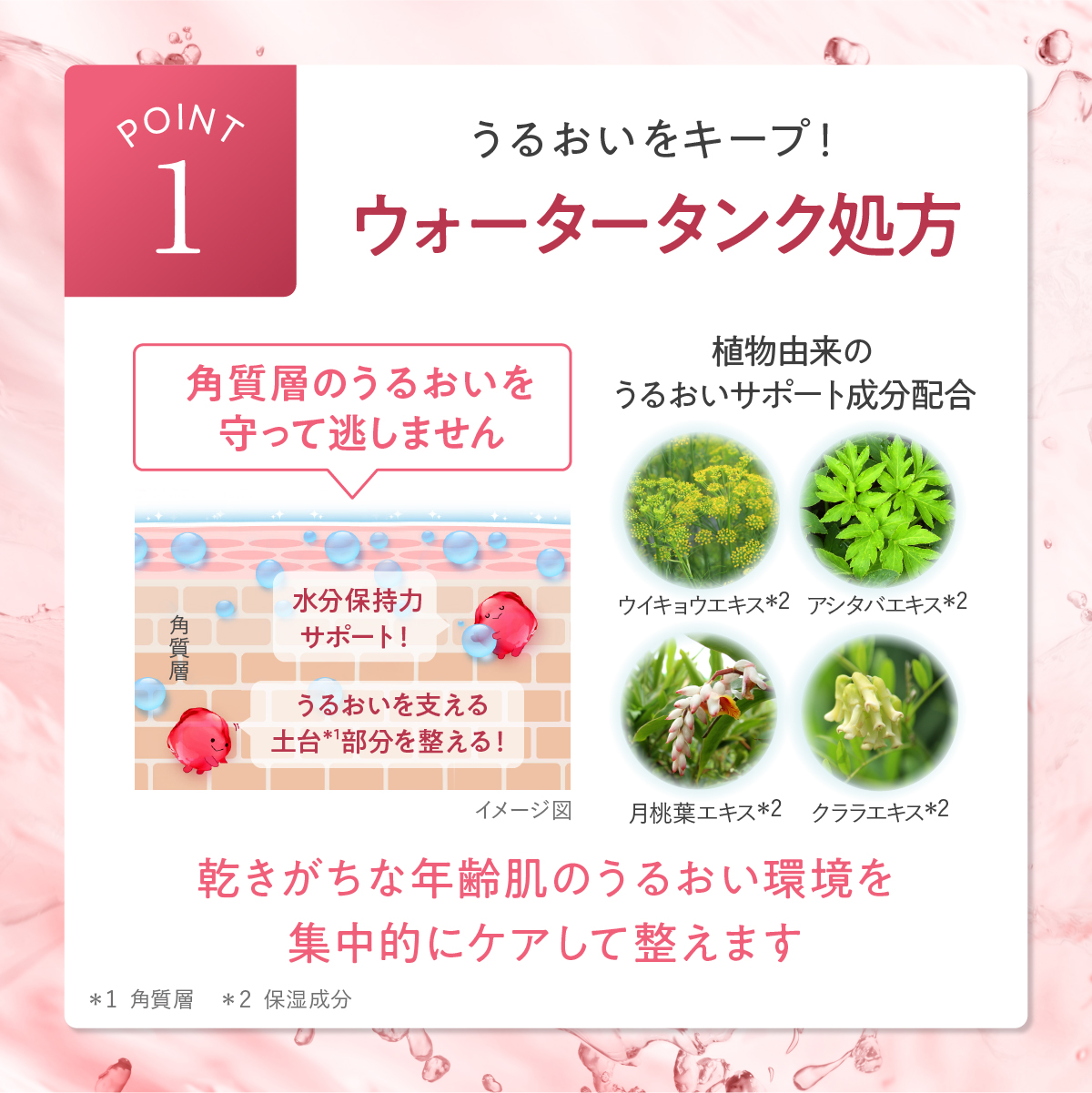 カナデル オールインワン ジュレローション 本体2個セット 120ml 約1か月分 ローション ナイアシンアミド | CANADEL | 03