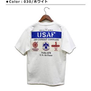 セール！アビレックス USAF サンダーバーズパッチ 半袖 Tシャツ / AVIREX &quot;USAF ...