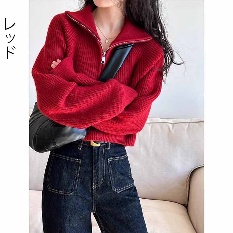 ニット ハーフジップ レディース 長袖 トップス 大人 ビッグカラー