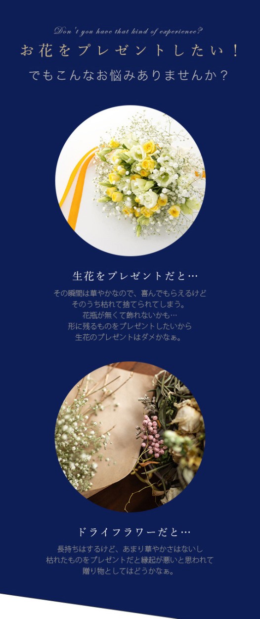 ポピュラーミュジックの花束 LP10枚セット ポピュラーミュジックの花束 LP10枚セット Amazon.com: Best Of