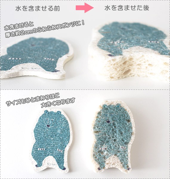 水を含ませると
